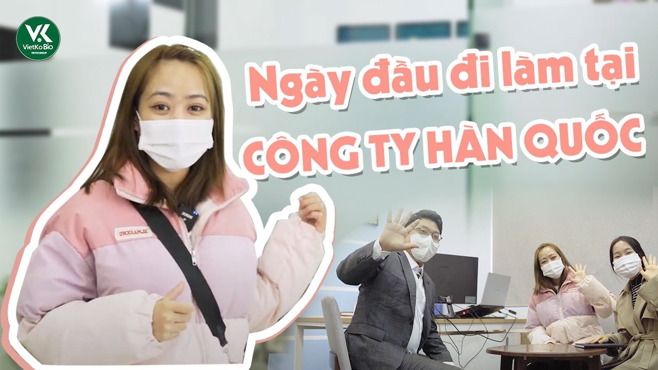 [Tập 1] 1 ngày làm việc của nhân viên mới tại công ty Hàn Quốc?