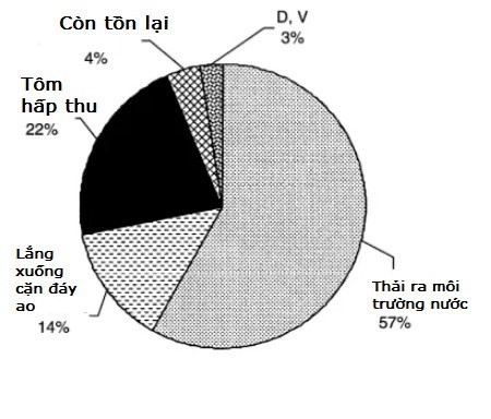 z3095548973694_8d105e3166594aca9c34d721ae2e47b8-1
