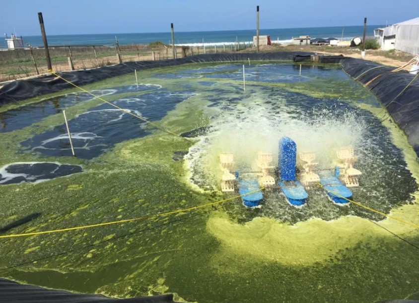 z3095549087781_0a7ca6c1f2f53358d22bea46dd6095df