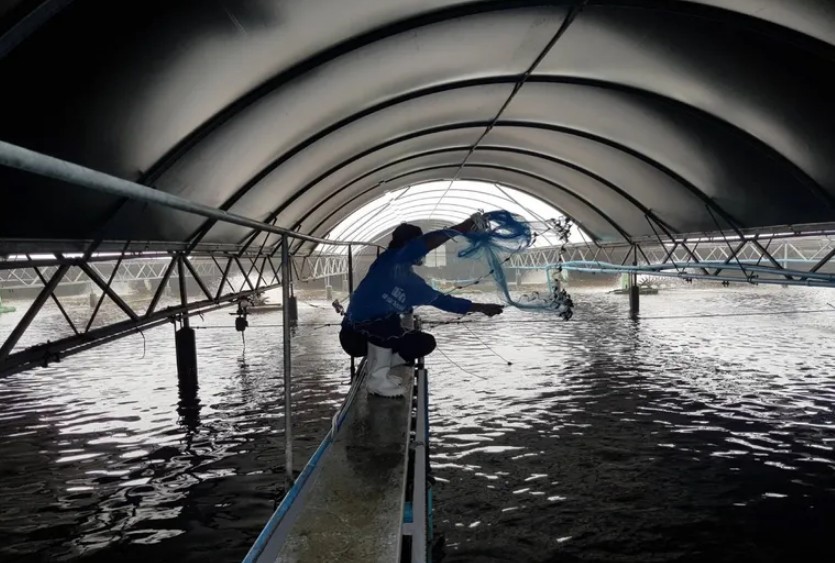 z3095549099456_518115b58cef0388d0422c0b4d74f2c5