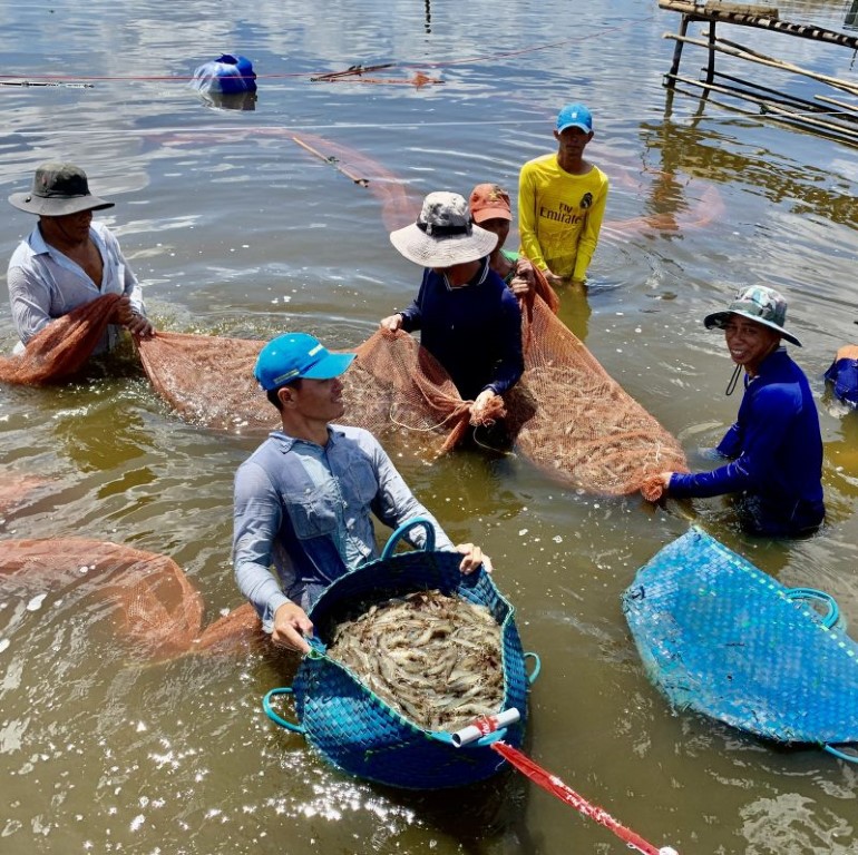 Xuất khẩu thủy sản 2021: Số 1 vẫn là tôm