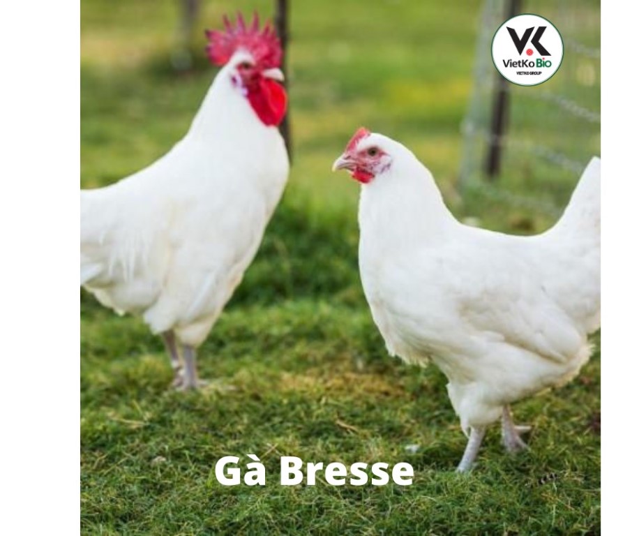 z3513272778036_04c6bfad65eadc320da9cdca3377d97d