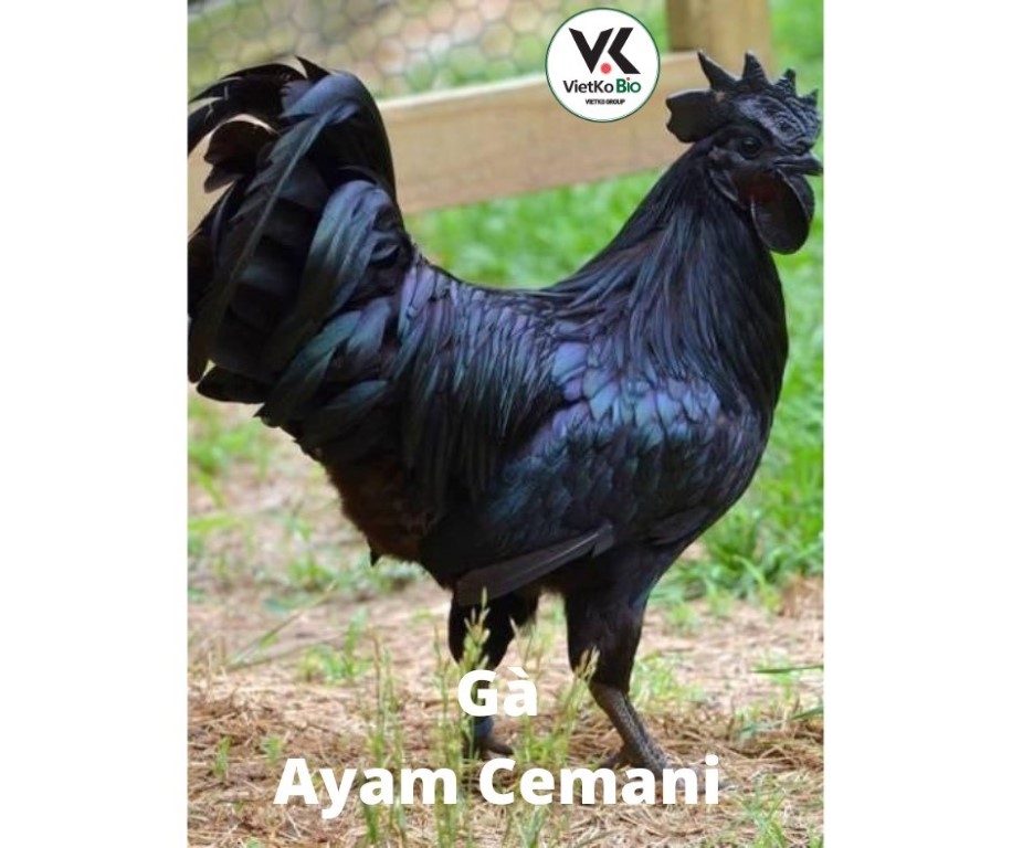 z3513272788105_dcf5eaa1c8fac03a864558e9e7b2fce1