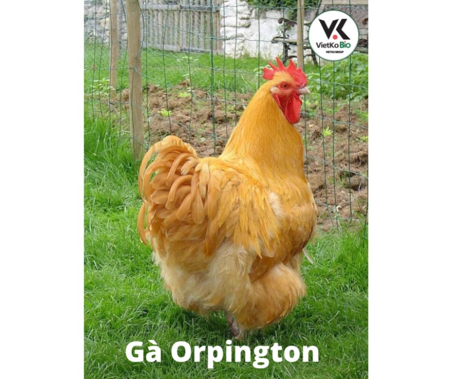 z3513272799799_ca290025efa02966a9ed90868d091ea6