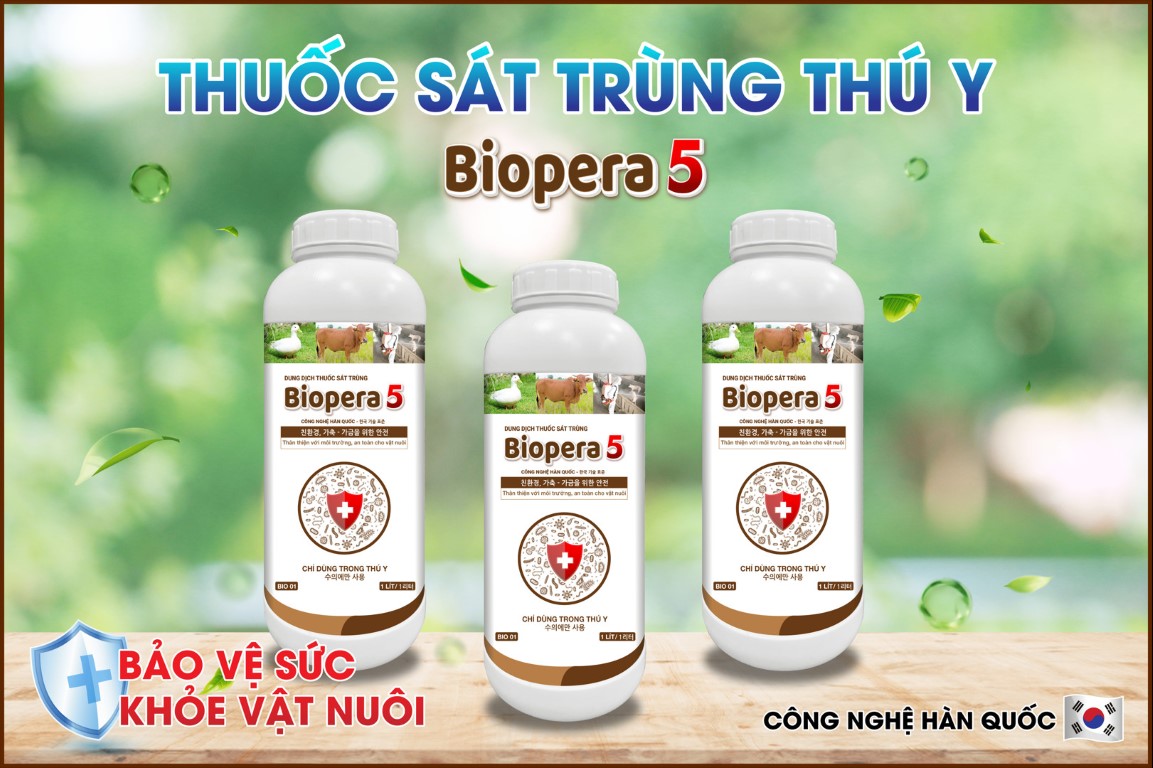 z3908651958847_f1aa3b671f61980854dc2af8623ed27c