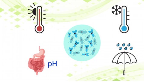 z3982204085991_13407dcb1e16dba5b56b2ca106480490