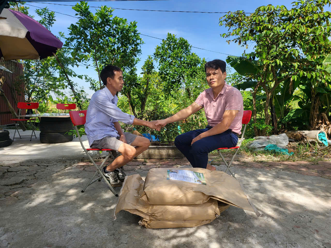 z5965241506319_c8649124aab3fbc62cb220adadc20826