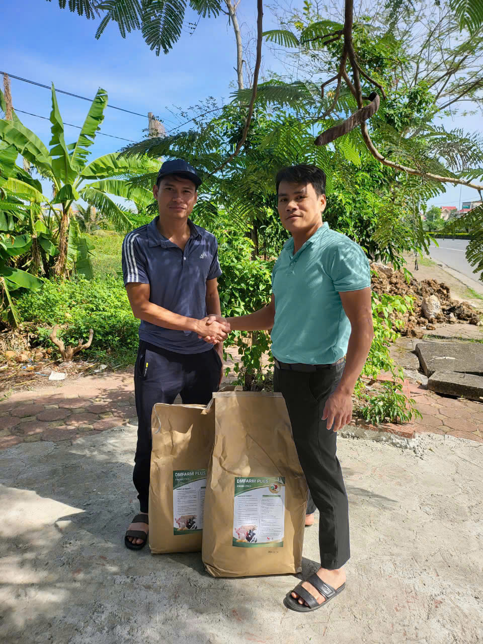 z5965676008733_b115e91d75f9e2333e1da96ee5d0411b