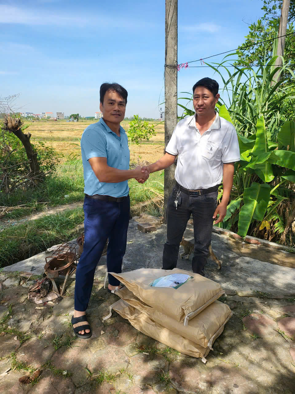 z5965676008832_2e09910632ea65d3bb84cd2ac8349e7c